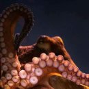 돈보따리 이미지