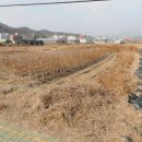 진교시외버스터미널 이미지