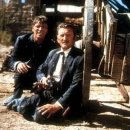 치열목장 이미지