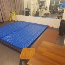 최원홍 카카오 검색결과