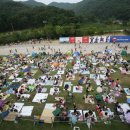 신스포레스트 이미지