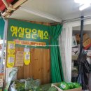 햇살담은채소