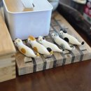 능소비빔국수 | [제주 애월 능소비빔국수 제주점] 불향나는 우삼겹 비빔국수 &amp; 우삼겹 고기국수 맛집