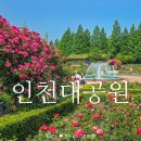 인천대공원 Daum카페