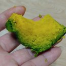 공중재배 보우짱 미니단호박/대성농장님 이미지