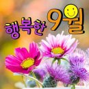 행복미소(주) 이미지