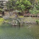 마산 봉암수원지 이미지