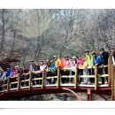3월30일 과천역에서 서울대(관악산)로 내려오는 코스 고고싱 은초딩과 봄을 함께해요^^* 2030산악회/등산동호회 이미지