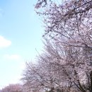 진명주유소 이미지