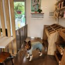 명화애견유치원 이미지