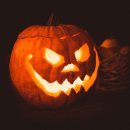 (주)한국지엠춘천서비스센터 | 🎃👻 2025년 10월 할로윈 부산에서 가족, 친구, 연인, 아이 모두 즐길 수 있는 숨겨진 할로윈 축제와...