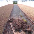 남부농장 이미지