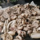 트레이닝 마에스트로 이미지