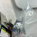 션샤인캣 네이버블로그