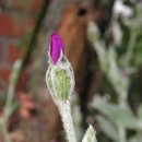 동광교회 이미지