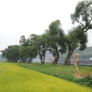 생명과 공존의 숲( 이미지