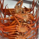 강릉 미스터홍게무한리필 :: 강릉 홍게 무한리필 맛집 후기