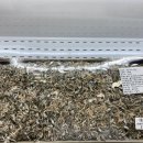 기안남로 이미지