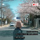 호근서호로 네이버블로그