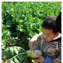 베이비캐슬어린이집 이미지