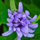 화성반월중학교 이미지