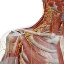 누리담한의원 이미지