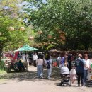 슈퍼스타 태권도장 이미지