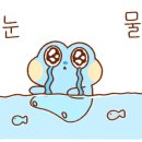 브런치랩