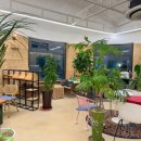 여주-0011 이미지