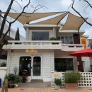 블루메디 이미지