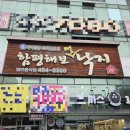 함평해보뻘낙지 | 대전 만년동 맛집, 정부청사 근처 연포탕 보양식 맛집 함평해보뻘낙지