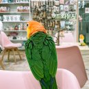 11215-구의1-공영주차장114 | 구의역 주변 가볼 만한 곳, 앵무새 카페 버드라운지