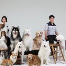 카페히릿 이미지