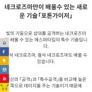 울썬문 네크로즈마 신 정보 + z기술 이미지