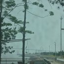 마리나베이공인중개사사무소 이미지