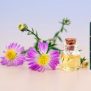 한방베스 이미지