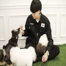한국동물보호소협회 뉴스로드