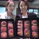 현대한우 이미지