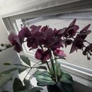 전남대학교 행정대학원 이미지