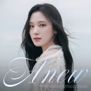 이젤 이미지