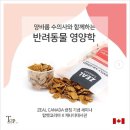 탑펫코리아 | 탑펫코리아 영양학 세미나 들은 후기