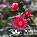 (주)서림식품