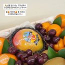 송푸르타 이미지