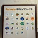 [성신여대] : 분위기 좋은 애견 동반 디저트 맛집 카페ㅣ유기견 후원 카페 펫터니아하우스