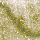 ​몸속에서 벌어지는 미생물 전쟁! 바이러스·박테리아의 숨겨진 세계 이미지