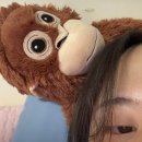 한솔인쇄소 | 카레 vs 콩불
