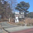 140.운동장입구_2 | 호동일기10 | 25.12.22 경기 용인 대형 애견운동장 넓은 애견카페 - 테일45 - 일반운동장 방문기