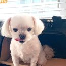 편한가방