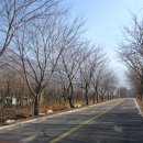 영락농원 -5 이미지