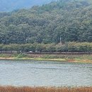 열린민원행정사사무소 이미지